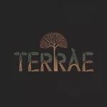 Demo Logos: logo-038