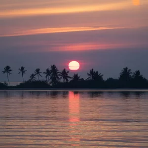 Demo Nature: nature-02