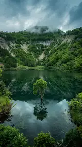 Demo Nature: nature-07