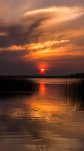 Demo Nature: nature-14