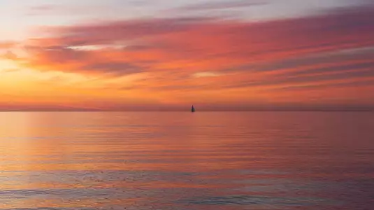 Demo Nature: nature-16