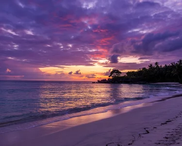 Demo Nature: nature-17