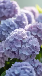 Demo Nature: nature-19