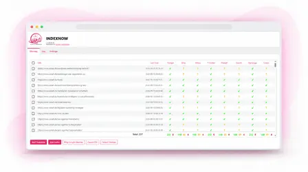 IndexNow Plugin für WordPress: IndexNow-Plugin-WordPress-02